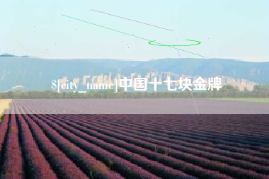 惠东中国十七块金牌