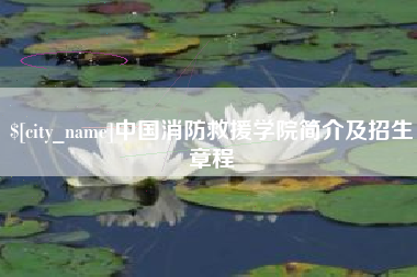 惠东中国消防救援学院简介及招生章程