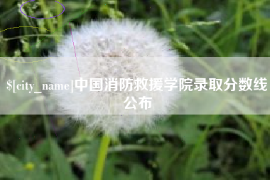 惠东中国消防救援学院录取分数线公布