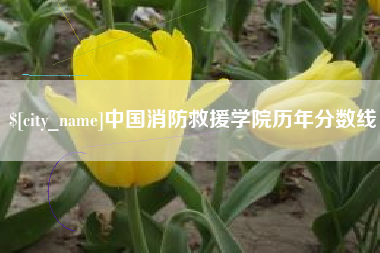 惠东中国消防救援学院历年分数线