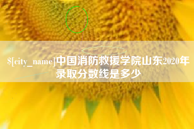 惠东中国消防救援学院山东2020年录取分数线是多少