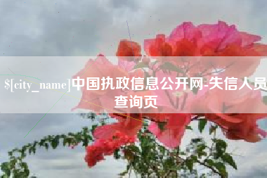 惠东中国执政信息公开网-失信人员查询页