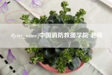 惠东中国消防救援学院 老师