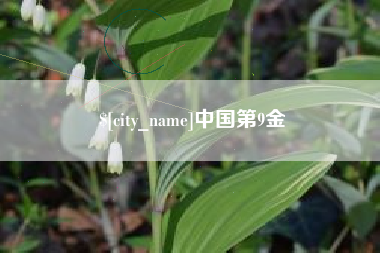 惠东中国第9金