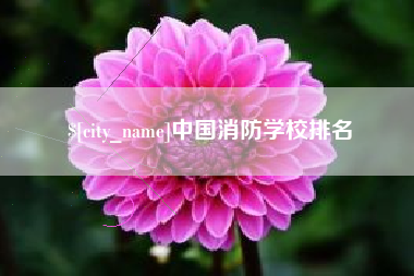 惠东中国消防学校排名