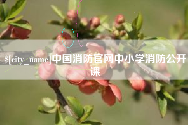 惠东中国消防官网中小学消防公开课