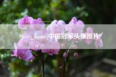 惠东中国冠军头像图片
