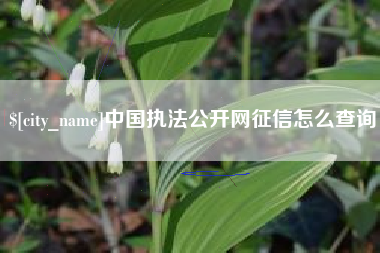 惠东中国执法公开网征信怎么查询