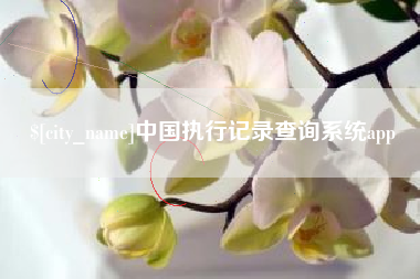 惠东中国执行记录查询系统app