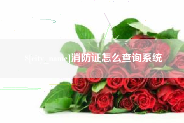 惠东消防证怎么查询系统