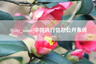 惠东中国执行信息公开系统