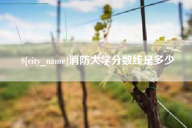 惠东消防大学分数线是多少