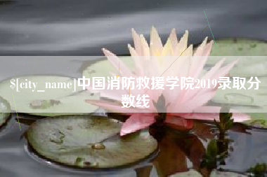 惠东中国消防救援学院2019录取分数线