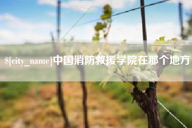 惠东中国消防救援学院在那个地方