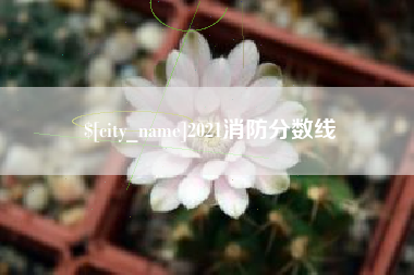 惠东2021消防分数线