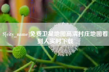 惠东免费卫星地图高清村庄地图看到人实时下载