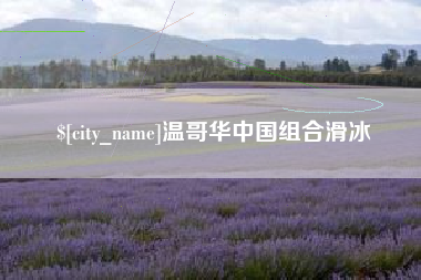 惠东温哥华中国组合滑冰