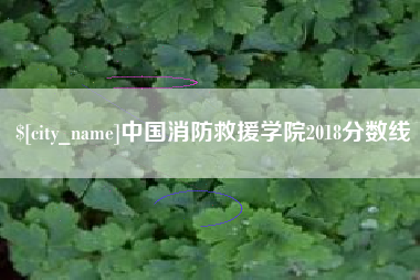 惠东中国消防救援学院2018分数线
