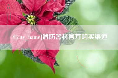 惠东消防器材官方购买渠道