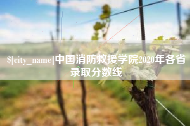 惠东中国消防救援学院2020年各省录取分数线