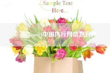 惠东中国执行网信息官网