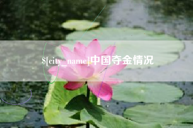 惠东中国夺金情况