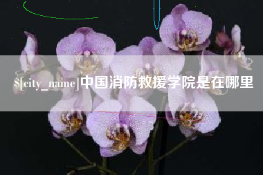 惠东中国消防救援学院是在哪里