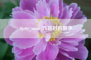 惠东九宫对应数字