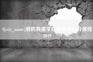 惠东消防救援学院招生录取分数线2019