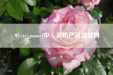 惠东中囯消防产品信息网