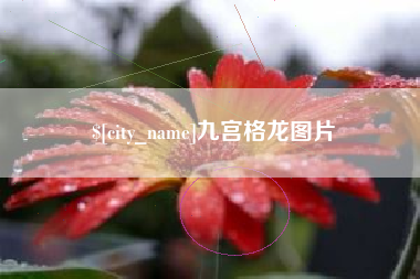 惠东九宫格龙图片