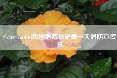 惠东我国消防日是哪一天消防宣传日