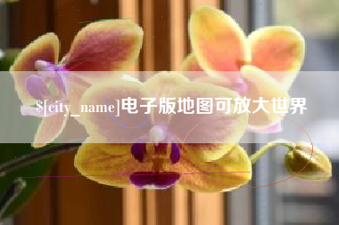 惠东电子版地图可放大世界
