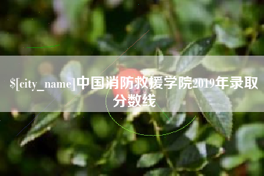 惠东中国消防救援学院2019年录取分数线