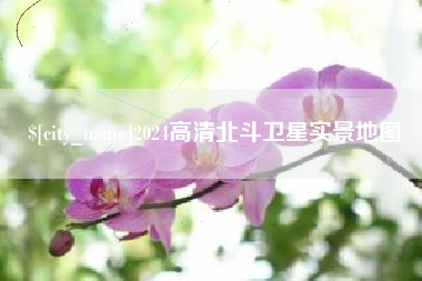 惠东2024高清北斗卫星实景地图