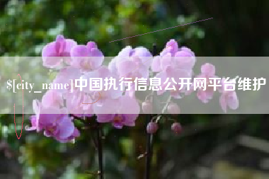 惠东中国执行信息公开网平台维护