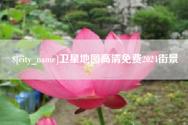 惠东卫星地图高清免费2024街景