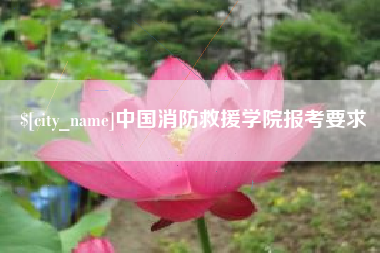 惠东中国消防救援学院报考要求