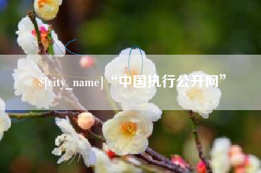 惠东“中国执行公开网”