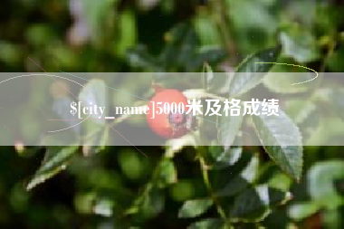 惠东5000米及格成绩