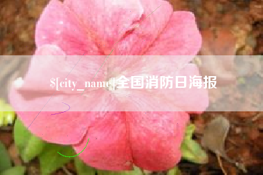 惠东全国消防日海报