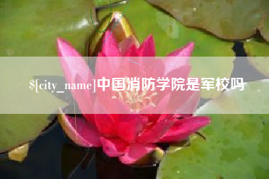 惠东中国消防学院是军校吗