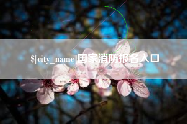 惠东国家消防报名入口