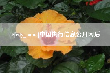 惠东中国执行信息公开网后