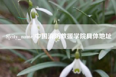 惠东中国消防救援学院具体地址