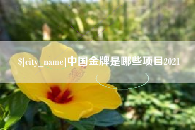 惠东中国金牌是哪些项目2021
