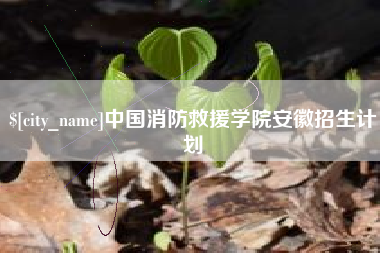惠东中国消防救援学院安徽招生计划
