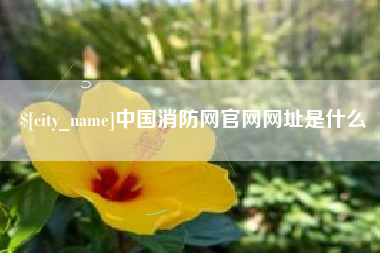惠东中国消防网官网网址是什么