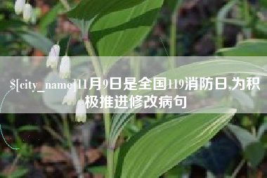 惠东11月9日是全国119消防日,为积极推进修改病句