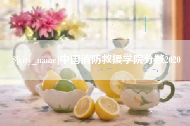 惠东中国消防救援学院分数2020